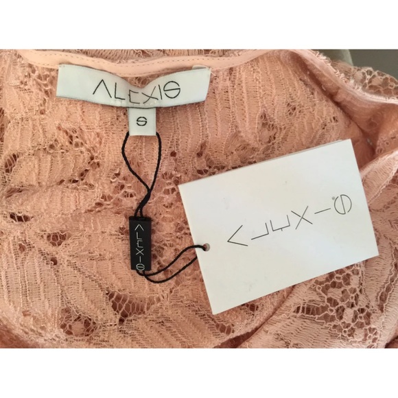 ALEXIS Intermix *Keven* pink embroidered lace maxi dress kaftan caftan S - Picture 4 of 4